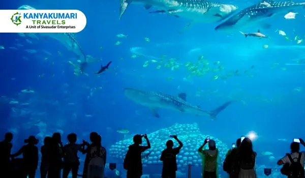 sea World Aquarium Rameswaram Tour Packages